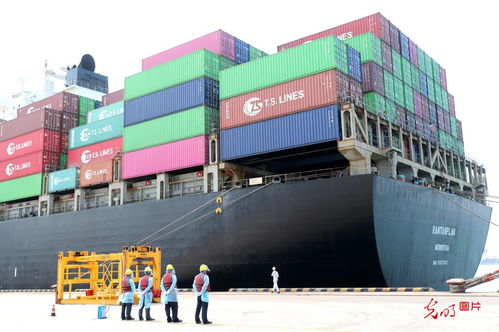 5月份山東外貿進出口創(chuàng)歷史新高，貨物貿易表現(xiàn)強勁