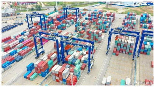 海南前7個月貨物貿易進出口超1300億元，代理服務助力亮眼“成績單”
